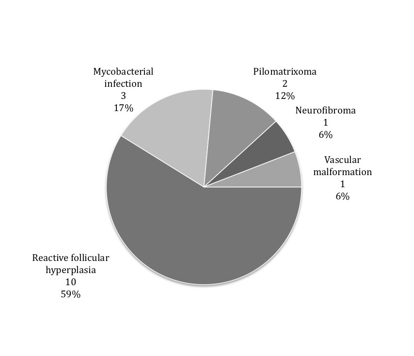 Figure 1.jpg